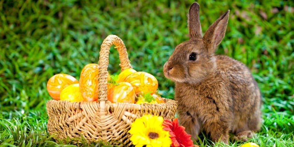 Osterplausch 2026 der Gemeinde